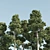 Tall Pine Twin Set 3D model small image 2