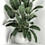 Exotic Corner Plant Collection 3D model small image 3