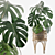 Tropical Monstera - 3D Plants 3D model small image 1
