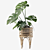 Tropical Monstera - 3D Plants 3D model small image 2