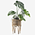 Tropical Monstera - 3D Plants 3D model small image 3