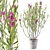 Exquisite Plants Collection 046: Croton, Oleander, Opuntia, Papyrus 3D model small image 4