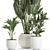 Exotic Plant Collection in White Vase 3D model small image 3