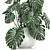 Monstera Plant | White Vase | Exotic Indoor Plant 3D model small image 2