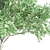 Tall and Graceful: 8.4m and 9.6m Magnolia Trees 3D model small image 2