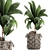 Title: Exotic Coco Collection: Decorative Young Coconut Palm in Rattan Basket 3D model small image 1