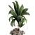 Title: Exotic Coco Collection: Decorative Young Coconut Palm in Rattan Basket 3D model small image 2