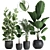 Exotic Plant Collection in Black Vase 3D model small image 1