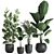 Exotic Plant Collection in Black Vase 3D model small image 4