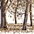 Autumn Elegance Collection: 5 Dry Trees 3D model small image 3