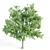 4 Tree Set: Acer, Aspen, Ash, Palm 3D model small image 2