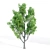 4 Tree Set: Acer, Aspen, Ash, Palm 3D model small image 5