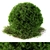 Wild Circle Outdoor Bush: Needle Grass - 54 3D model small image 1