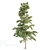 4 Tree Set: Ash, Mesquite, Poplar, Pine 3D model small image 7