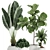 Exotic Plant Collection for Indoor and Outdoor Spaces 3D model small image 4