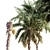 Exquisite Date Palm Collection 3D model small image 2