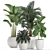 Tropical Plant Collection: Exotic Ficus & Palm 3D model small image 1