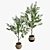 Rustic Woven Planter with Two Olive Trees 3D model small image 3