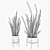 Sleek and Stylish Sansevieria 2 3D model small image 4