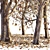 Autumn Serenade: Dry Tree Collection 3D model small image 3
