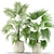 Green Oasis: Contempo Plants Collection 3D model small image 2