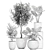 Title: Exotic Plant Collection in White Vase 3D model small image 5