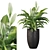 Exquisite Peace Lily Collection 3D model small image 1