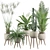Green Oasis Collection: Peace Lily, Cyperus Nofretete, Fern Indoor, Areca Palm, Euphorbia Candelab 3D model small image 1