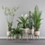 Green Oasis Collection: Peace Lily, Cyperus Nofretete, Fern Indoor, Areca Palm, Euphorbia Candelab 3D model small image 2