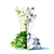 Hybrid Aquilegia Flowers | Set of 4 Varieties 3D model small image 2