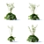 Hybrid Aquilegia Flowers | Set of 4 Varieties 3D model small image 7