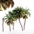 Tropical Oasis Date Palm Collection 3D model small image 1