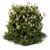 Wild Grass Outdoor Plant - Baccharis Pilularis 47 3D model small image 1