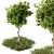 48" Outdoor Broadleaf Tree with Wild Grass 3D model small image 1