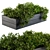 Outdoor 55: Compact Garden Plants 3D model small image 2