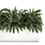 Exotic Tropical Indoor Plant Collection in White Pots 3D model small image 3