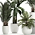 Exotic Plant Collection in White Vase 3D model small image 3