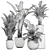 Exotic Plant Collection in White Vase 3D model small image 5