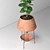Elegant Indoor Decorative Plant 3D model small image 6