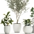Exotic Plant Collection: Indoor & Outdoor Greenery 3D model small image 4