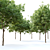  Majestic American Beech Tree 3D model small image 2