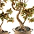 Croton Bonsai: Vibrant Indoor Tree 3D model small image 3