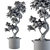 Croton Bonsai: Vibrant Indoor Tree 3D model small image 4