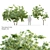 Beech Twin Trees - 3m Height 3D model small image 1