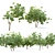 Beech Twin Trees - 3m Height 3D model small image 2