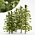  Majestic Alaska Cedar Tree Collection 3D model small image 1