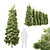 Evergreen Beauty: Pine Tree_3 3D model small image 1