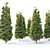 Evergreen Beauty: Pine Tree_3 3D model small image 2