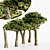 Tropical Dracaena Set: 5 Majestic Trees 3D model small image 1