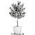 Exotic Mandarin Tree in White Pot 3D model small image 5